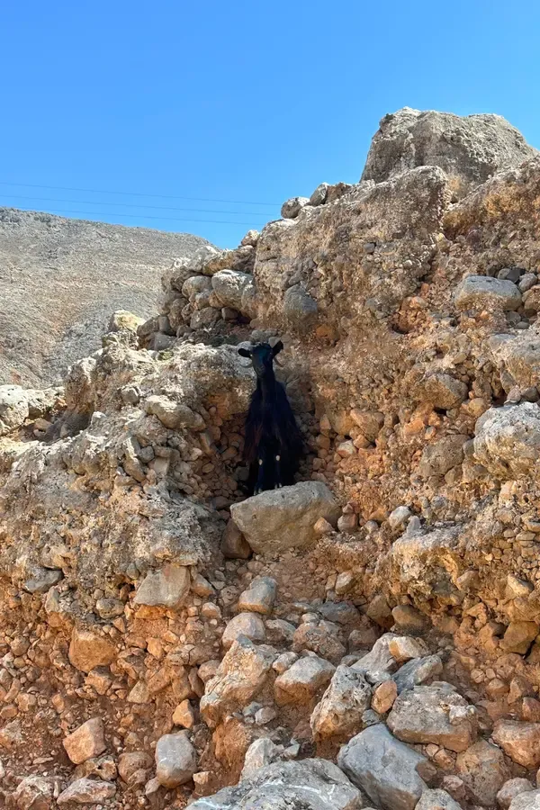 Les montagnes arides et les eaux cristallines encerclent le village de Sfakia, offrant un panorama typique et dramatique de la Crète.