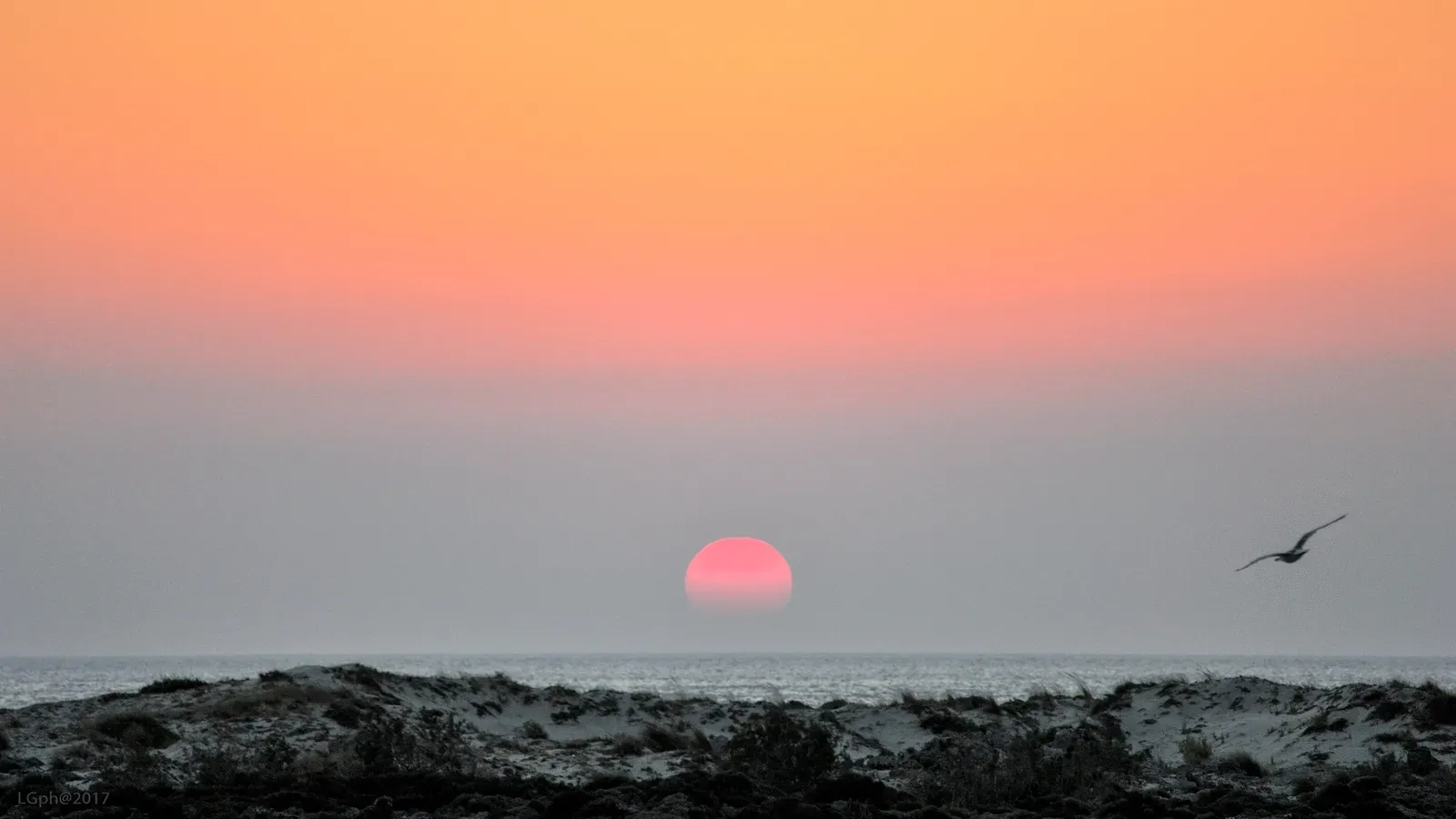 Les plages de sable rose et lagon turquoise d'Elafonissi, sur la côte occidentale emblématique de la Crète.